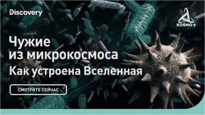 КАК УСТРОЕНА ВСЕЛЕННАЯ: ЧУЖИЕ ИЗ МИКРОКОСМОСА | DISCOVERY