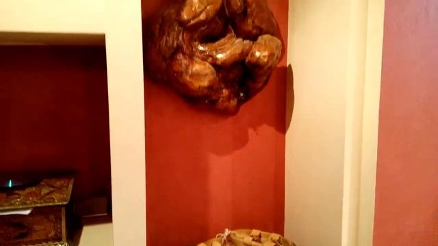 dizain davidovich смотреть онлайн