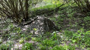 Пологи от тепловизора Богомол-Z