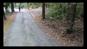 лысый заезд