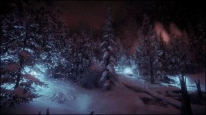 Ночной зимний лес с холодным ветром со снегом ASMR послужит как колыбельная