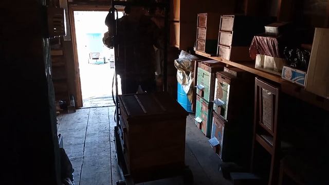 Выставка пчёл при помощи подъемника смотреть онлайн