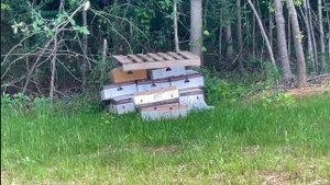 Встреча с земляками Funny4 с Спокан. Обзор домов на продажу с огромными участками в SC!***#Америка