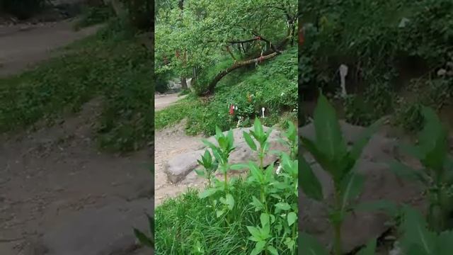 Камни–желаний в Коломенском. Валун Гусь–Камень.