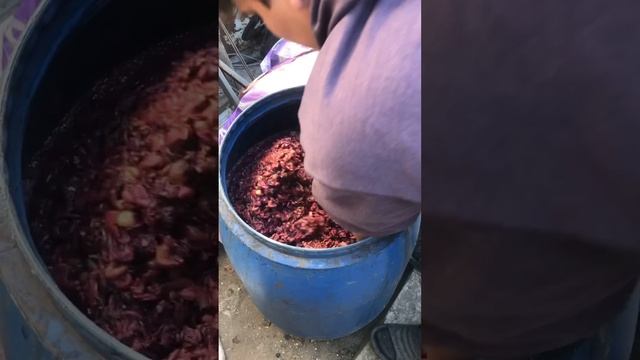 Как быстро сделать вино из винограда в домашних условиях 🍇🍷🍾