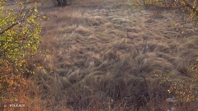 Чуть не провалился в ТЕРРИКОННИК на Донбассе! Высота 80 метров! Самый большой террикон в Луганске! смотреть онлайн