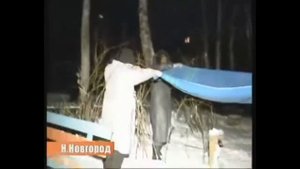 Сказ о том как солдат кота спасал