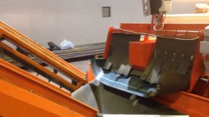 Сортировка картофеля на конвейерной линии