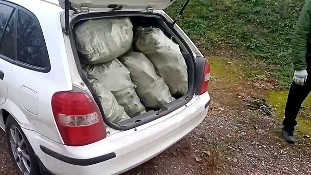 Эко субботник на берегу Белой г. Ишимбай 17.10.2020 смотреть онлайн