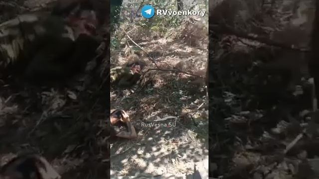 Спецназ ВДВ захватил целую толпу боевиков ВСУ, полостью зачистив острова за Крынками