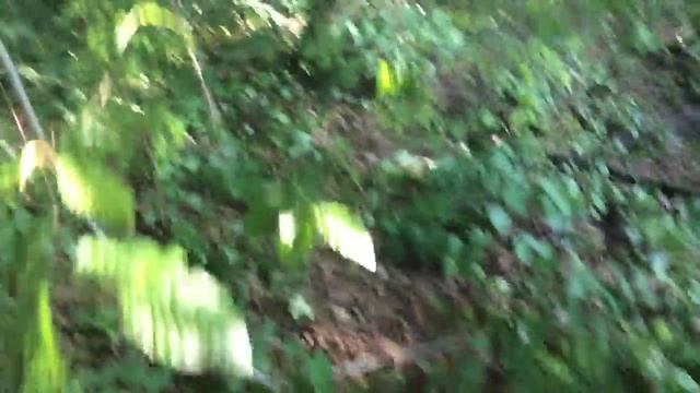 Wet Plate Collodion"The Mask" by Borut Peterlin смотреть онлайн