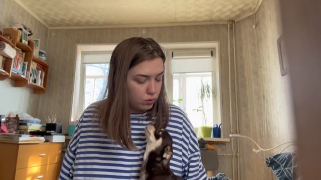 47. ВЛОГ. Рулетка, болталка. Вышивала Алиса, Овен, РТО смотреть онлайн