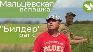 Мальцевская вспашка // Замёрзший рапс