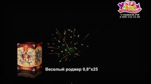 СП0802504 Веселый роджер
