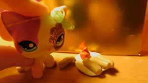 № 1 орёл и решка рай и ад.Райский Пёсбурк лпс город