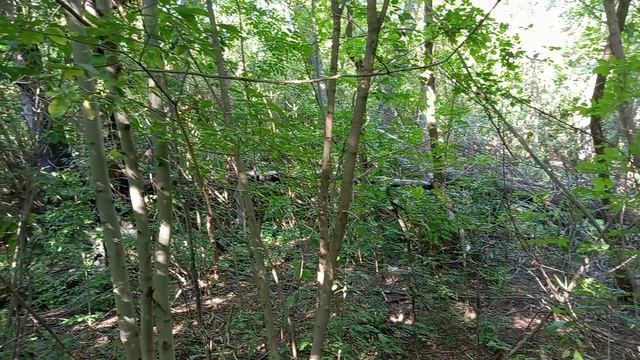 На сапе по Битюгу смотреть онлайн