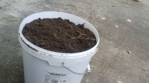 Выращивание винограда в контейнерах (часть 2) Понимание процесса
