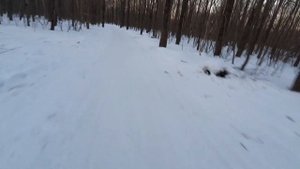 лыжи brados pro skate air carbon в теплую погоду с мазью скольжения по укатанному снегу