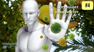 Джекфрут — 8 основных полезных свойств джекфрута для здоровья