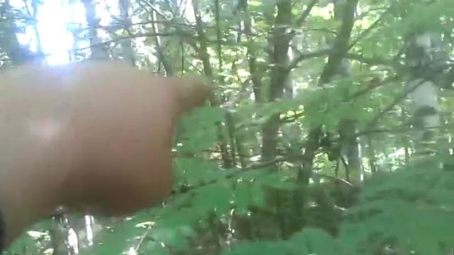 Коп металлолома.Деревня неподалёку Часть 3. смотреть онлайн