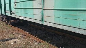 Байка про лягушку не царевну
