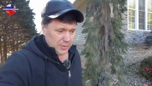 Цены на интернет и мобильную связь в Америке