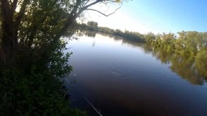 Нюансы проводки джерка Strike Pro Big Bandit