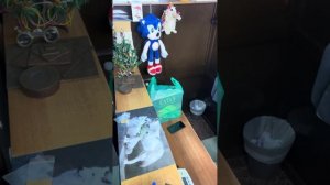 Оценка монет Магазин Нумизмат на Таганке гончарный проезд дом 8/40