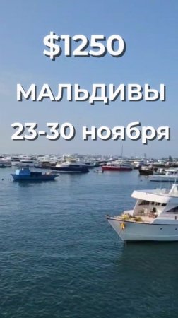 Мальдивы  Когда: 23-30 ноября  Цена: $1250 +перелёт   Подробности по ссылке https://t.me/vip_dive