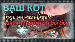 Каким мужем был бы ваш кот, родись он мужчиной и человеком