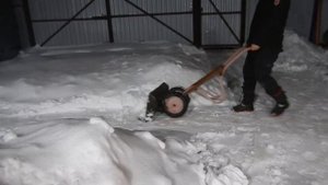 Лопата для снега на колесах. Самоделка. Отзыв.