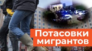 Драка мигрантов в Нижнекамске. Бастрыкин взял дело под контроль