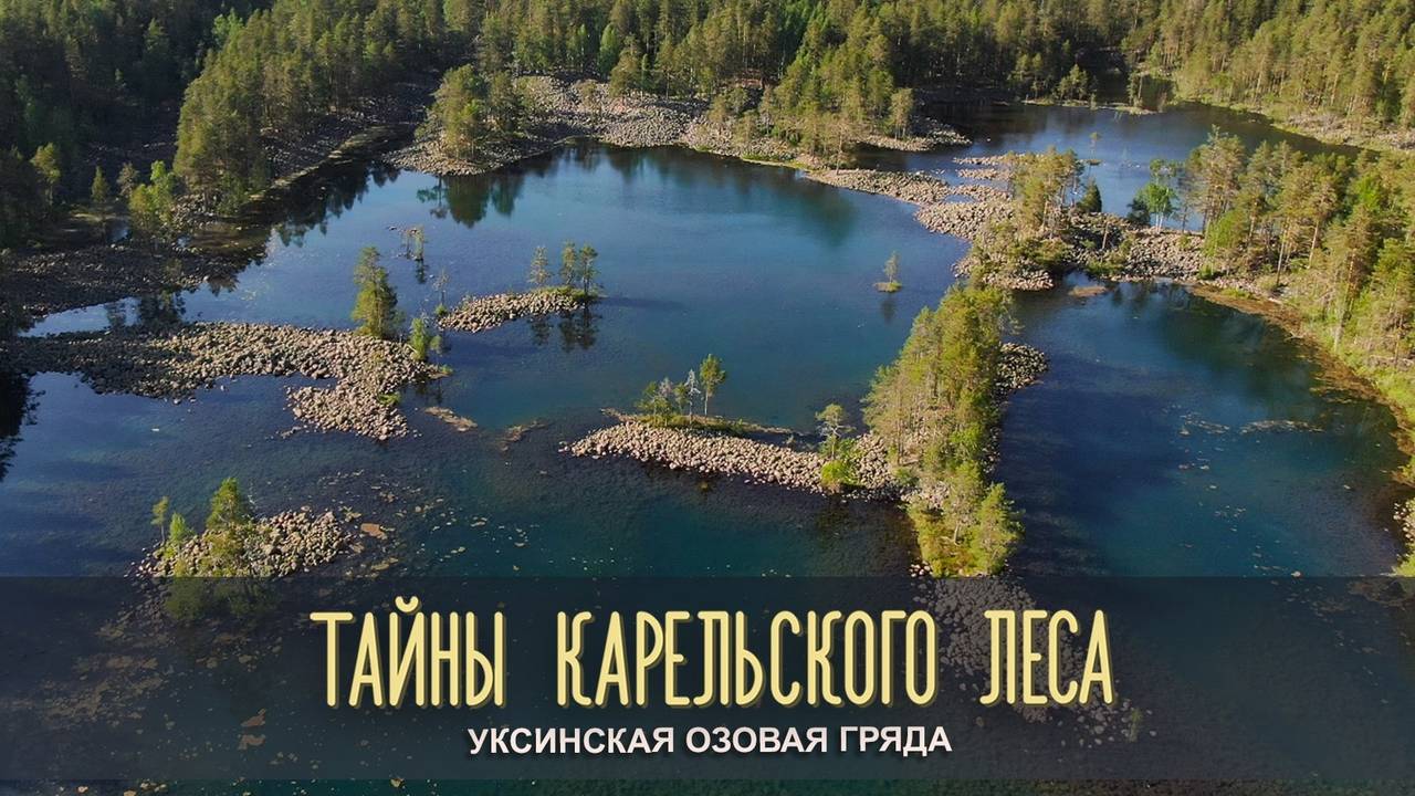 УКСИНСКАЯ ОЗОВАЯ ГРЯДА | Тайны карельского леса