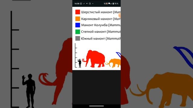 Вымершие животные (факты)