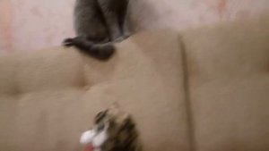 Jessie and mechfriend