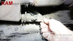 Hyundai Starex H1: отключение мочевины (AdBlue), удаление сажевого фильтра (DPF) и клапана ЕГР (EGR