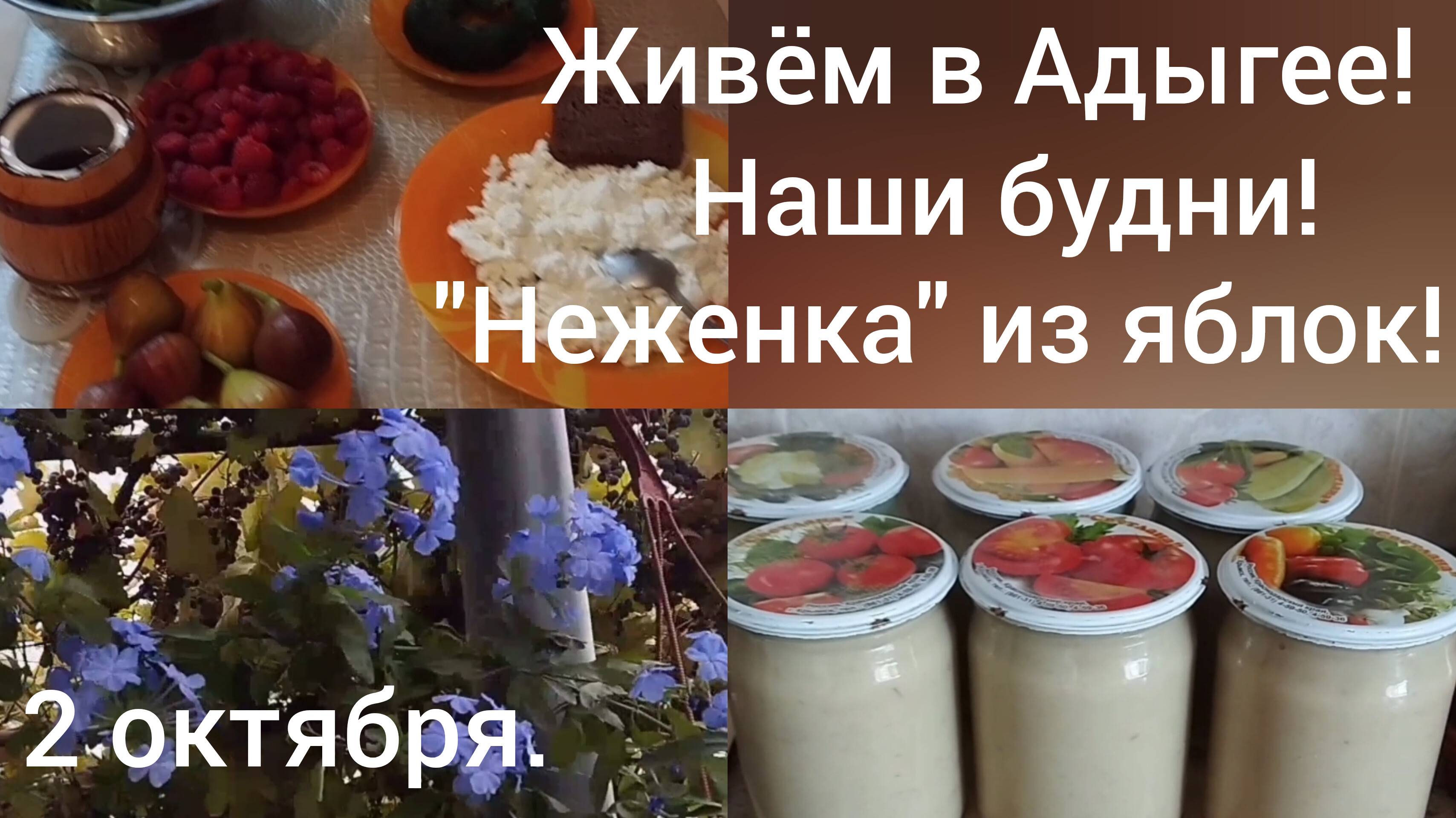 Жизнь сибиряков в Адыгее/Пюре "Неженка" из яблок/Наши будни на пенсии на юге после переезда/