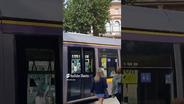 Дублинский трамвай и автобус. Dublin tram and bus.