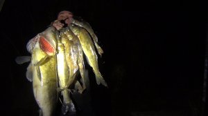 Подводная охота на трофейного судака