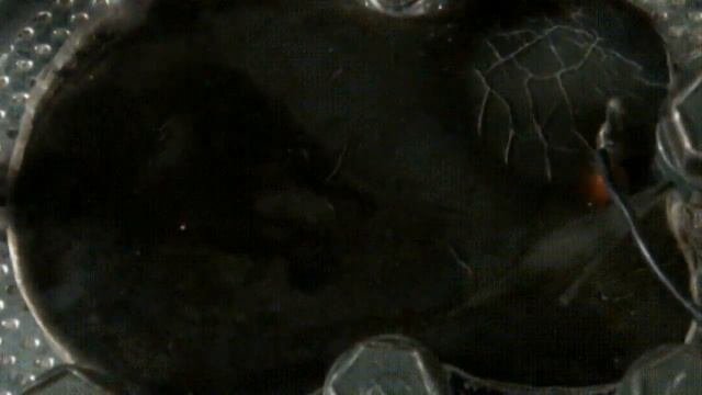 ч1 Мото. #Cкутер -как работает  #зажигание.Анимация