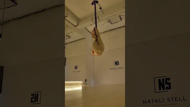 Воздушный гамак 20241002