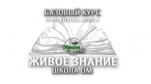 Жертва насилия