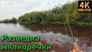 Нахлыст в забродку. Разведка, реки Сеймы, язики...