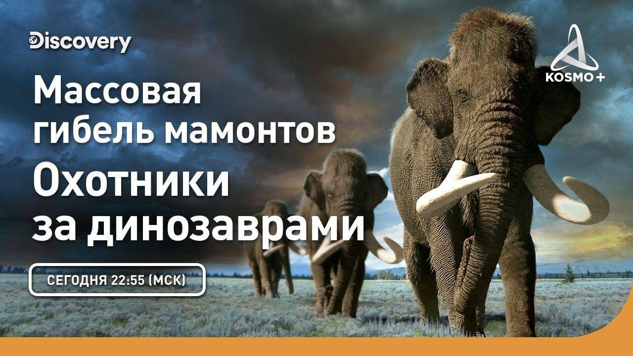 ОХОТНИКИ ЗА ДИНОЗАВРАМИ: МАССОВАЯ ГИБЕЛЬ МАМОНТОВ | DISCOVERY