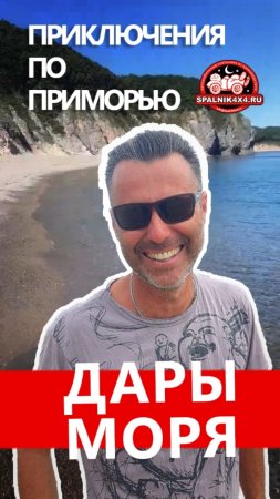 Трубач? Нашли непонятных 🐚 моллюсков на диком пляже приморского побережья. Путешествие по Приморью.