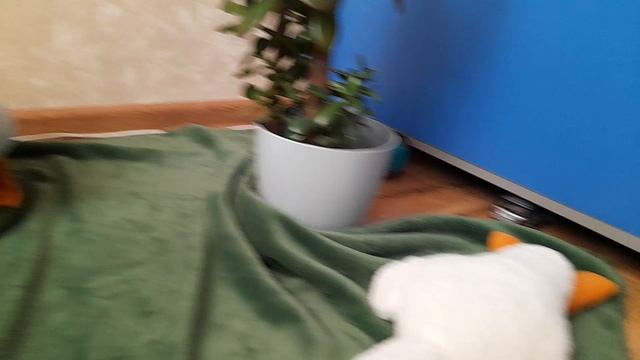 лес