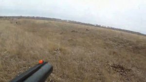 Охота на ворон (crow hunting) МР-155
