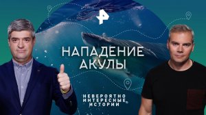 Нападение акулы — Невероятно интересные истории (25.07.2023)