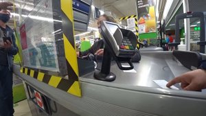 ПЛЕСЕНЬ В ПЕРЕКРЁСТКЕ / КУЧА НАРУШЕНИЙ / ОНИ КЛАЛИ НА ВСЁ
