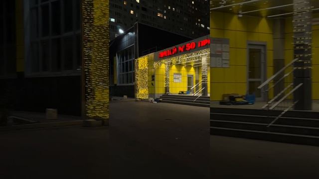 Лицей №50 при ДГТУ  Viki Decor Световое оформление и декор